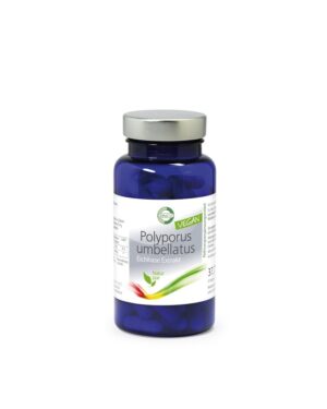 Polyporus - Eichhase Extrakt