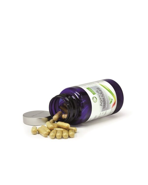 Agaricus blazei Murrill - Mandelpilz Extrakt