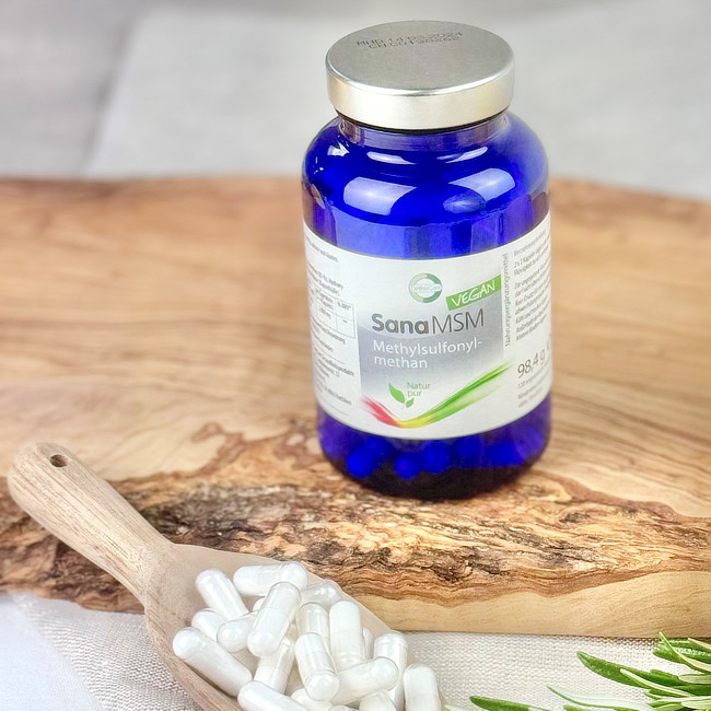 SanaMSM - September Angebot