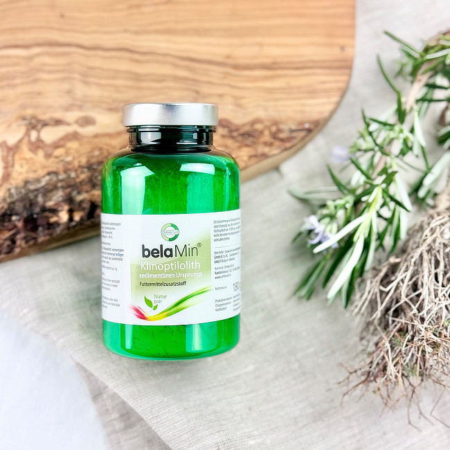 belaMin - September Angebot